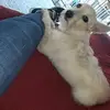 annafonte685 - @annafonte685 - TikTok