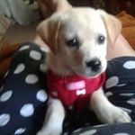 Anna Inman Fontenot - @fontenotanna - Instagram