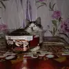 Анна Фоос - @annafoos2 - TikTok