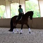 Anna Forbes - @sanssouci3af - Instagram