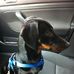 Anna Forcina - Facebook