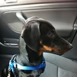 Anna Forcina - @anna.forcina.5 - Instagram