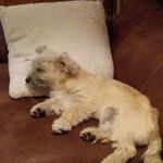 Anna Forde - @anna_forde_galway - Instagram