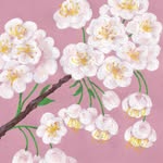 Anna Forde - @annaforde_design - Instagram