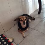 Anna Forestieri - @annaforestieri1961 - Instagram