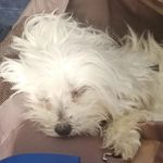 Anna Forlini - @penny_billy_2009 - Instagram