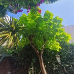 Anna Forman - @toolan79 - Instagram