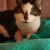 annaformella720 - @annaformella720 - TikTok