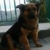 Annamaria Formichella - Facebook