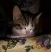 Anna Fornari - Facebook