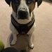Anna Forrest - Facebook
