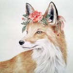 Anna Forsgren - @skogstry.illustration - Instagram
