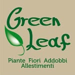 GREEN LEAF - @annafortini13 - Instagram