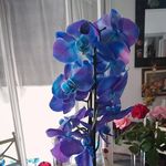 Anna_fortune - @anna_fortune39 - Instagram