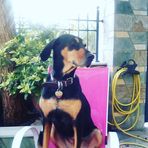 Anna Foti - Facebook