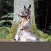 Annabelle Fournet - Facebook