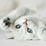 Anna Fournier - @miss_nna_4 - Instagram