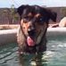 Anna Fouts - Facebook