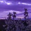 Anna Fowler - @anna.fowler4 - TikTok