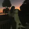 Anna Fox - @anna.fox.01 - TikTok