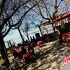 anna_013 - @annafrabotta_013 - TikTok