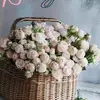 annafrancavilla67 - @annafrancavilla67 - TikTok