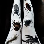 𝑨𝒏𝒏𝒂 - @annafrankstein - Instagram