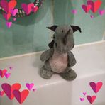 Anna Frobel - Facebook