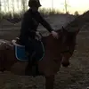 Anna Fredriksson - @annafredriksson0 - TikTok