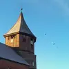 Anna-Katharina Frees - @annakatharinafreese - TikTok