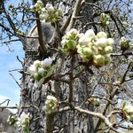 Anna - @anna_friedlich_blume - Instagram