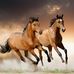 Anna Frontczak - Facebook