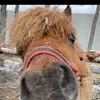 Anna Frontczak - @anna.frontczak40 - TikTok