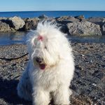 Anna Buzzi Fulcheri - @annabuzzifulcheri - Instagram