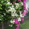 Anna Fulcher - @2164907595 - TikTok