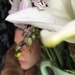 Anna Leigh Fultz - @obsidiankingfisher - Instagram