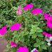 Annar Gabbard - Facebook