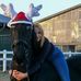 Anna Gabler - Facebook