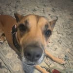 Anna - @anna_gaddy23 - Instagram