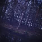 Julie Anna Gadd - @unicornfan.2008 - Instagram