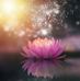 Anna Gaetano - Facebook