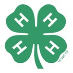 Anna Gafford - @annagafford4h - Instagram