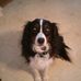 Anna Gaither - Facebook