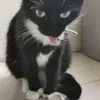 Anna Gajda - @anna.gajda44 - TikTok