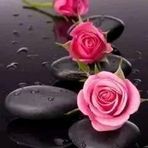 Anna Maree Galant - Facebook