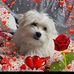 Anna Galante - Facebook