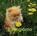 Anna Galasso - Facebook