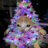 Ana_galea._.08 - @anna_galea._.0811 - TikTok