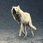 Anna Galik - @galik9970 - Instagram