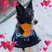 Anna Gallant - Facebook